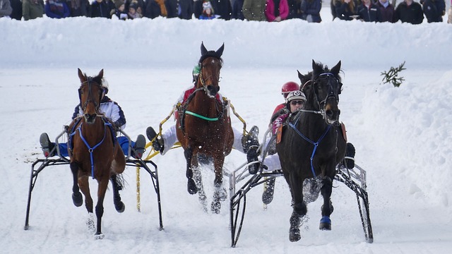 甲联赛中 甲联赛中