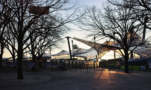 全红婵也不 全红婵也不