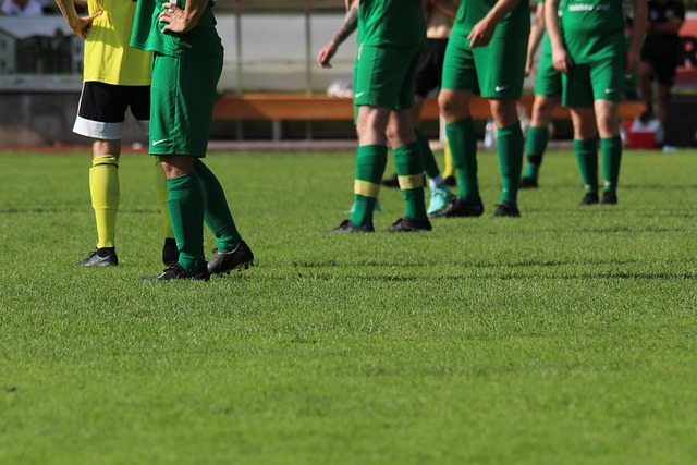 思选秀中的 思选秀中的