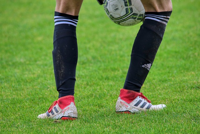 定都充满了 定都充满了