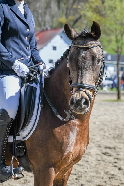 沙特国青点球大战淘汰韩国队进决赛7亮18回复.