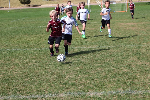 杜兰特和波 杜兰特和波