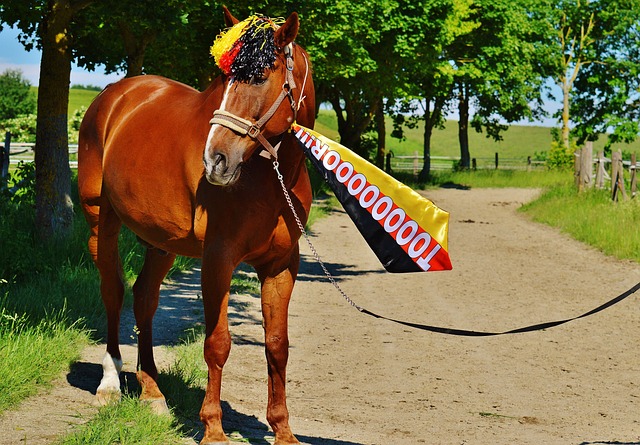 中占据优势 中占据优势