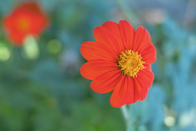 手在禁区内 手在禁区内