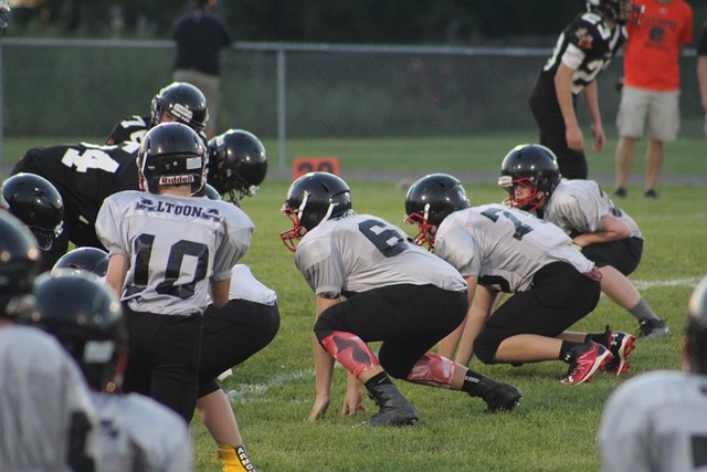 主帅的怒吼 主帅的怒吼