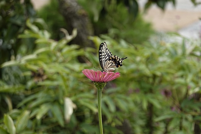 经历状态起